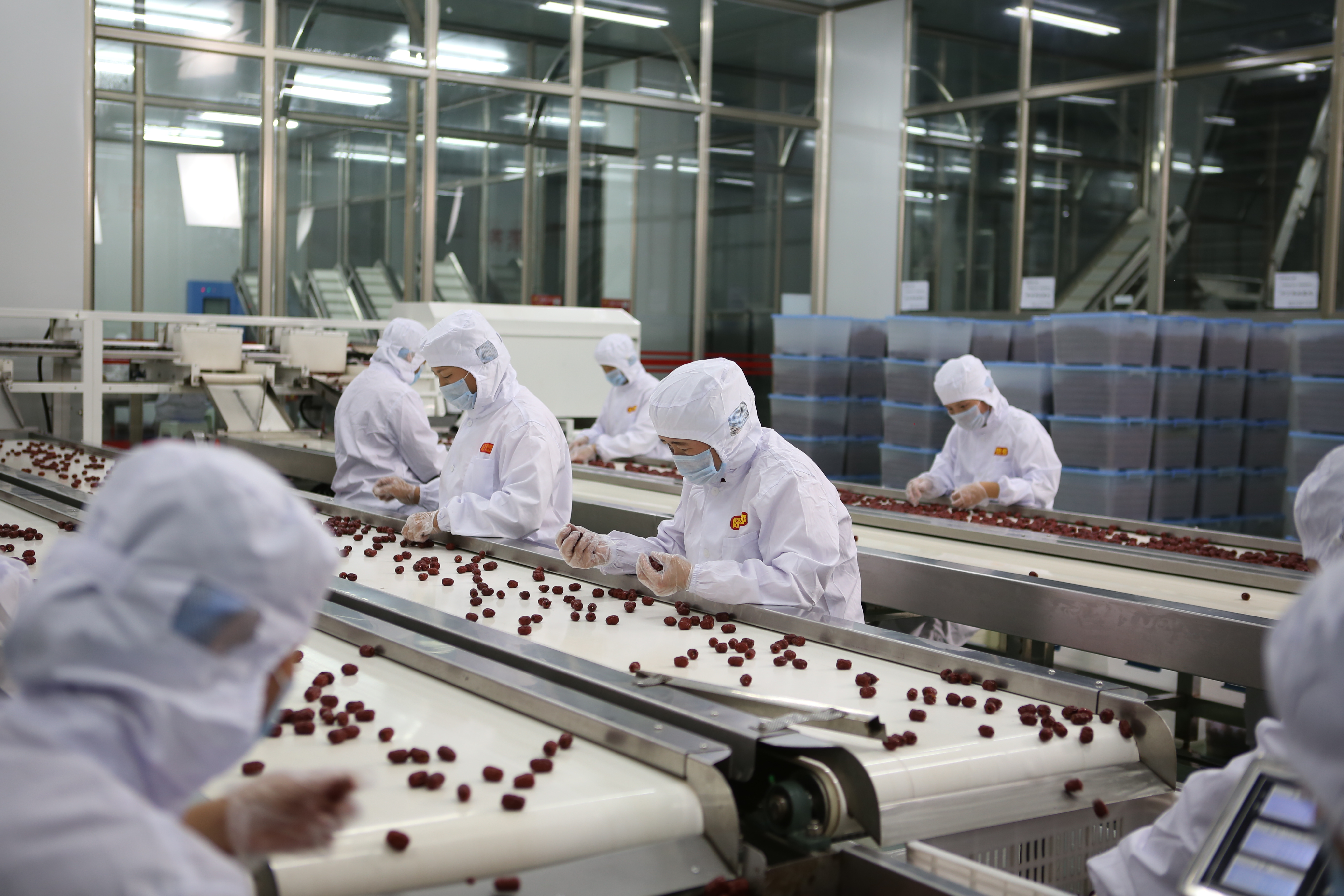 IMG_0554.JPG IMG_0554.JPG