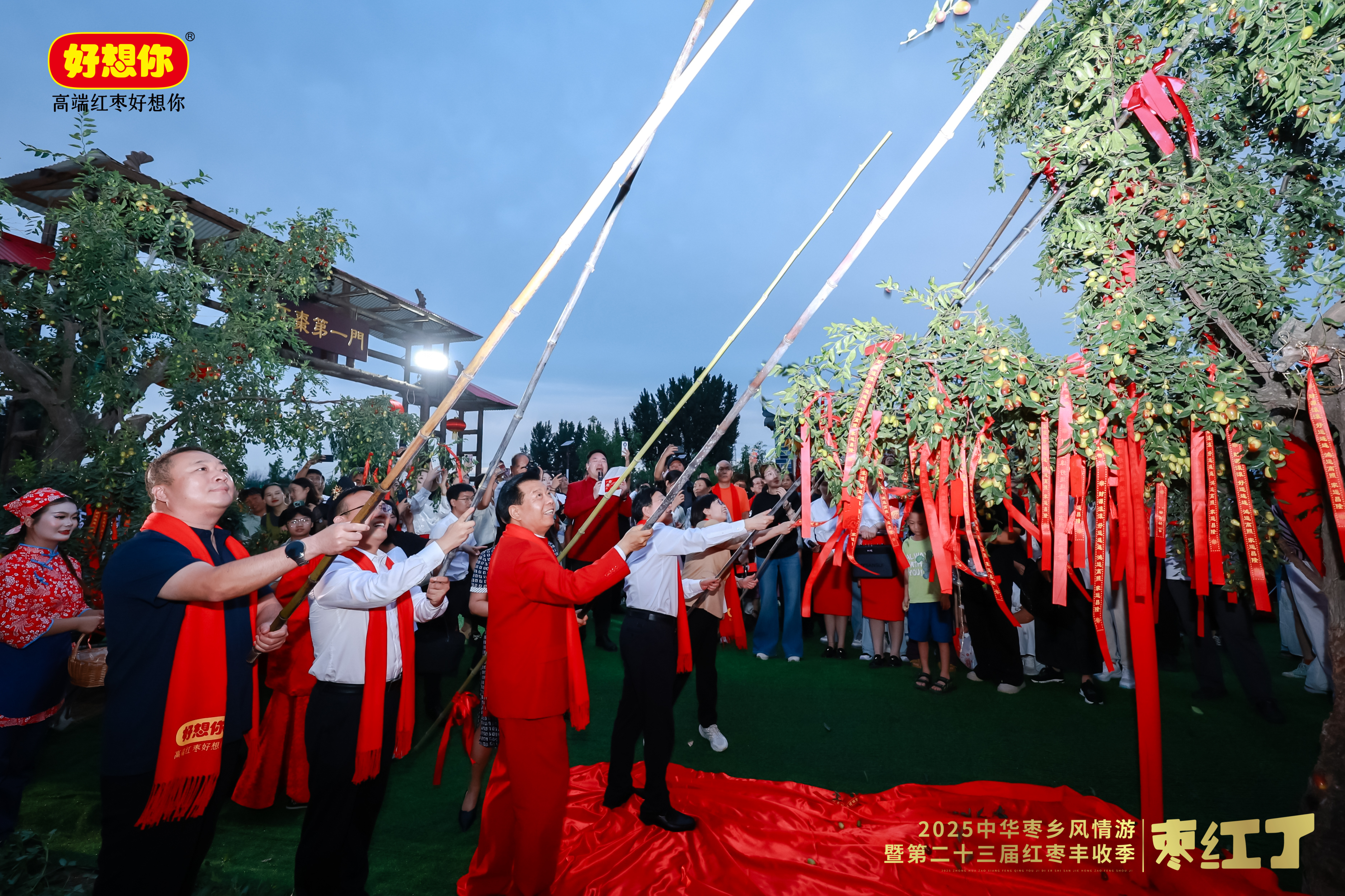 打枣3.jpg 打枣3.jpg