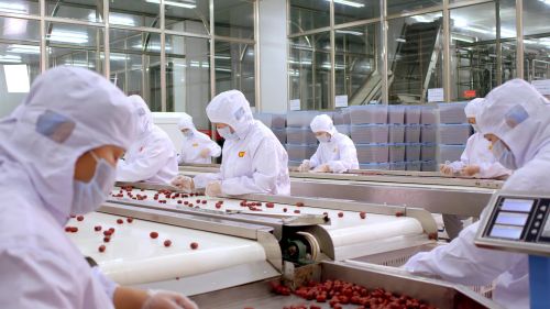 1700032912510184.jpg 红枣多重分拣.jpg