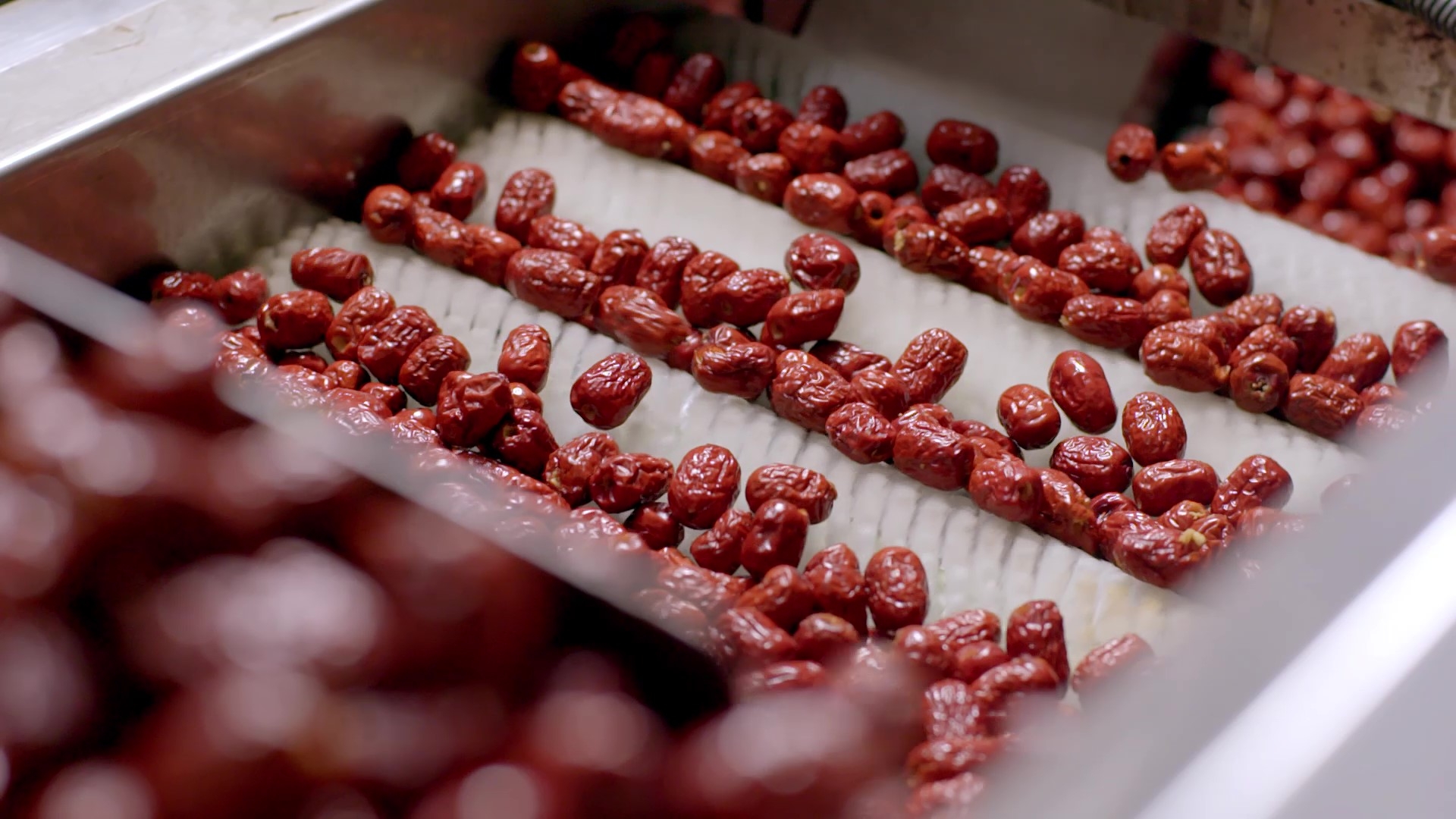 1758362220769034.jpg 去核红枣筛选.jpg