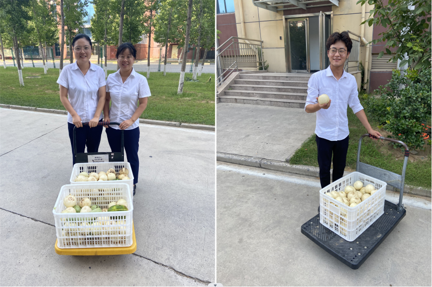 1659945221136229.png image.png