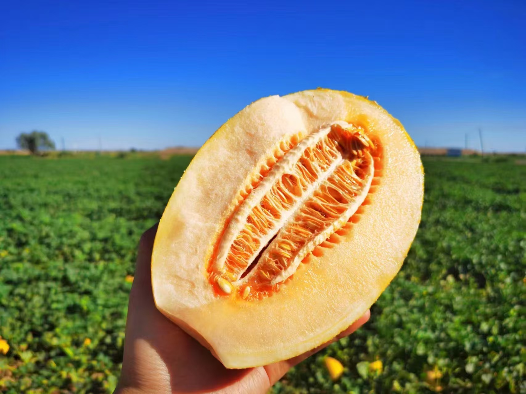 1753760109779984.png 图片5.png